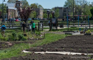 LEAF Youth Program @ Common Good City Farm