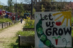 LEAF Youth Program @ Common Good City Farm