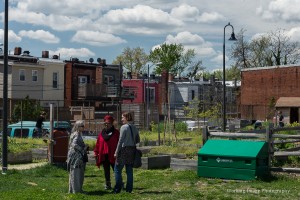 LEAF Youth Program @ Common Good City Farm